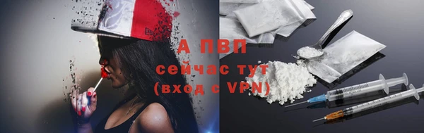 гашик Абаза