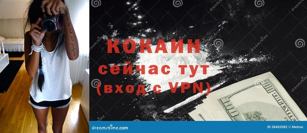 крисы Алзамай