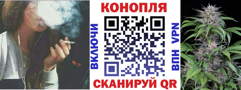 Бошки Шишки OG Kush  mega сайт  Керчь 